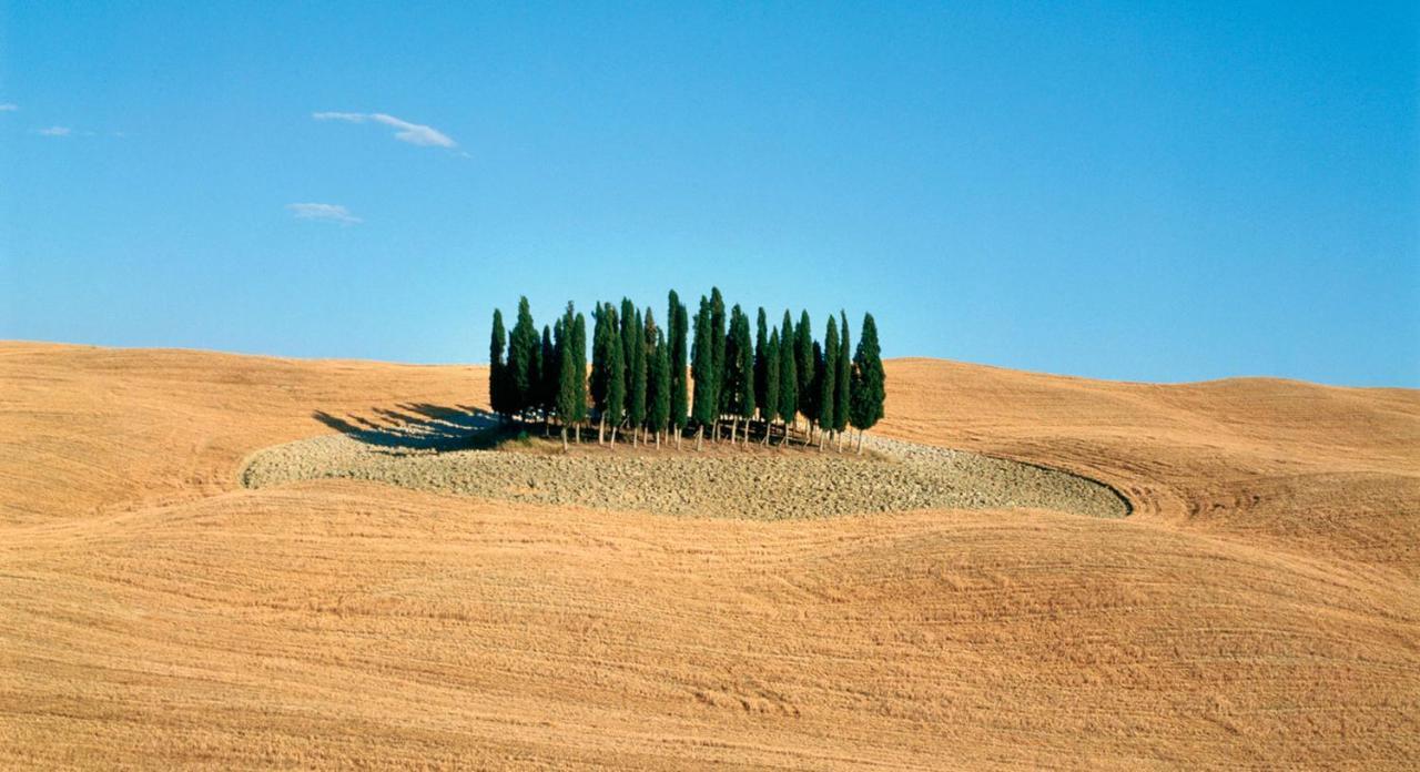 Appartamento Vecchio Mulino Isola d'Arbia Экстерьер фото